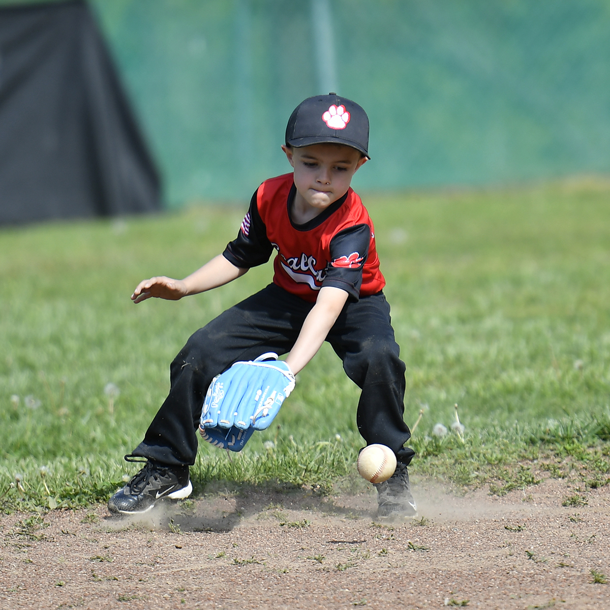 Cal Ripken opens season in Martin County