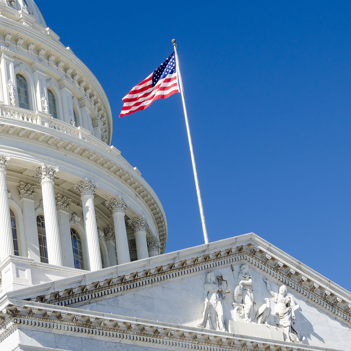 Kentuckians want a senator, not a rubber stamp