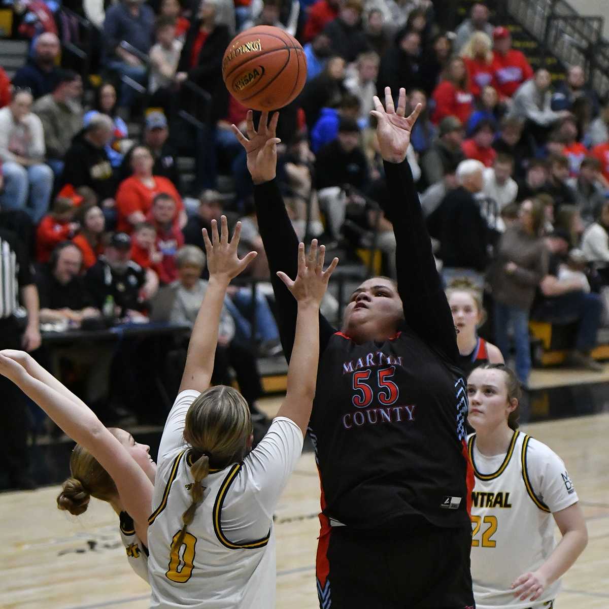 Maynard earns all-state honorable mention